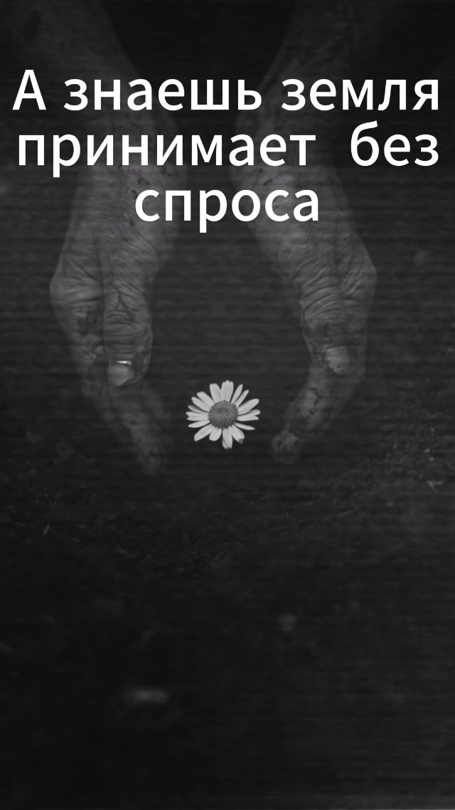СОНТЕША / Ауромания — «Букет в чью то руку» (часть 3)