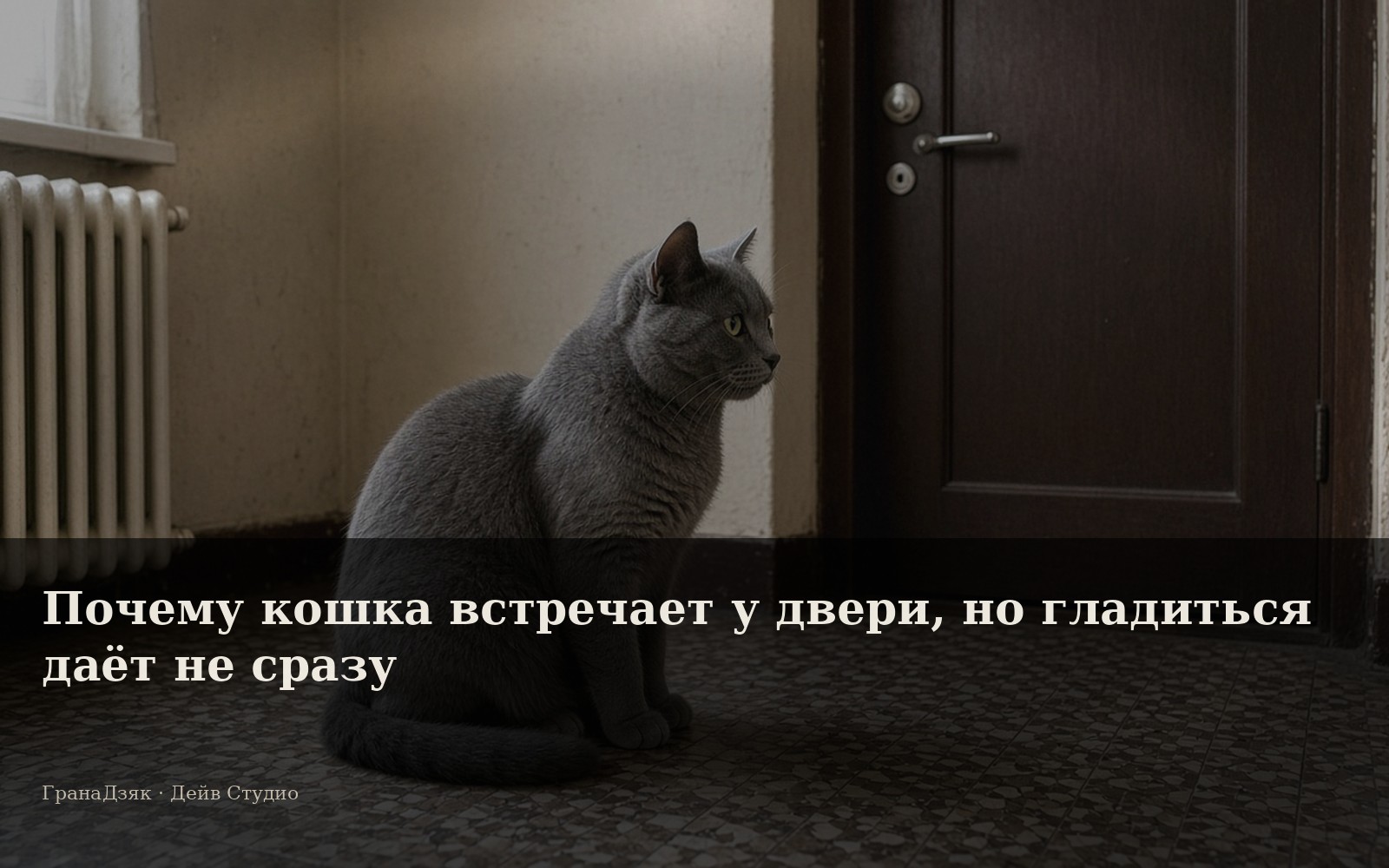 Почему кошка встречает у двери, но гладиться даёт не сразу